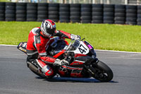 Advanced Group Multicolour Bikes